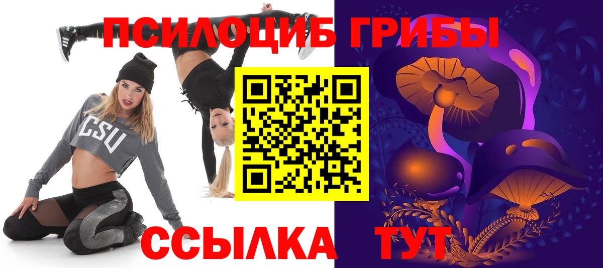 Карачаевск  Псилоцибиновые грибы Psilocybine cubensis  Псилоцибиновые грибы мухоморы  Вход с VPN 
